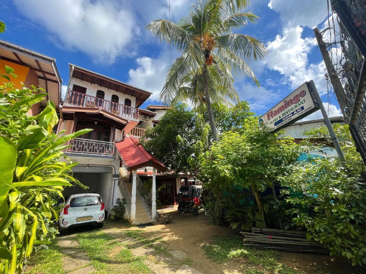 Flamingo Guest House Унаватуна Екстер'єр фото